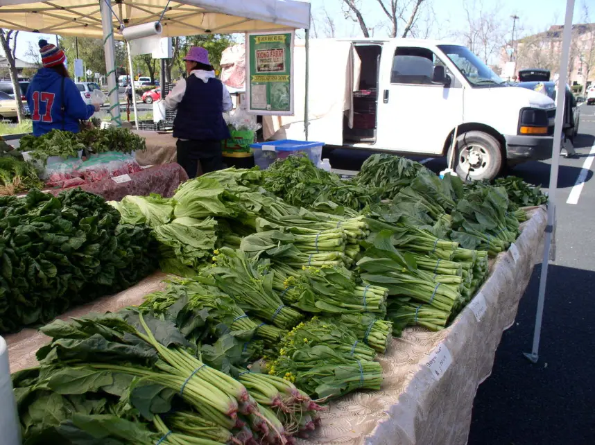 Vegetable stand at the Castro Valley Farmers Market, displaying a variety of fresh, colorful produce.