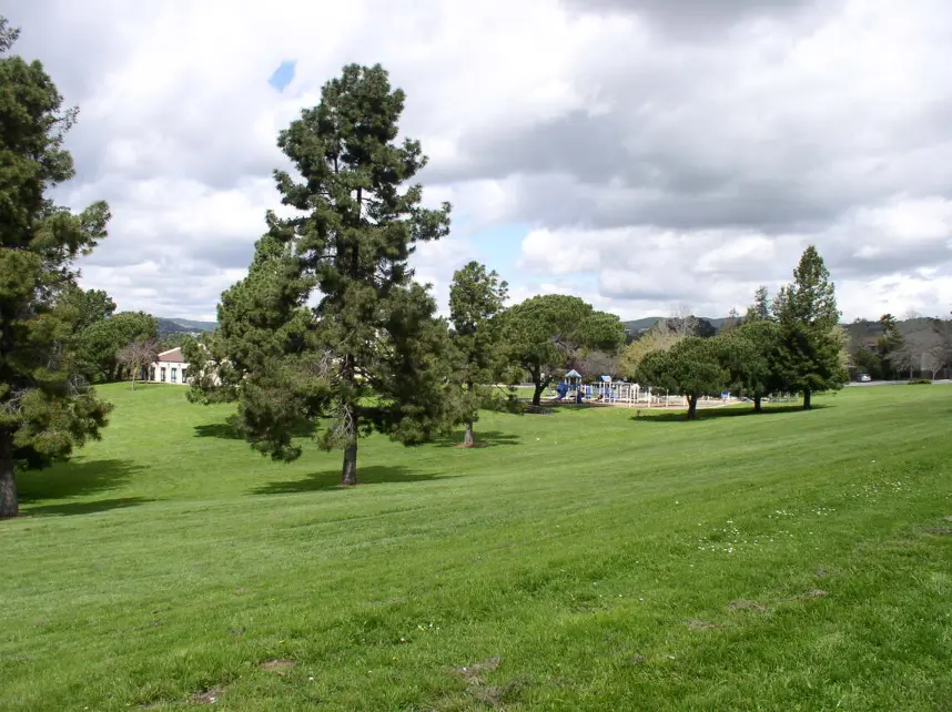 View of Cannery Park in Hayward, CA, featuring lush green grass and tall trees.